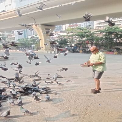 generous-solution-social-services