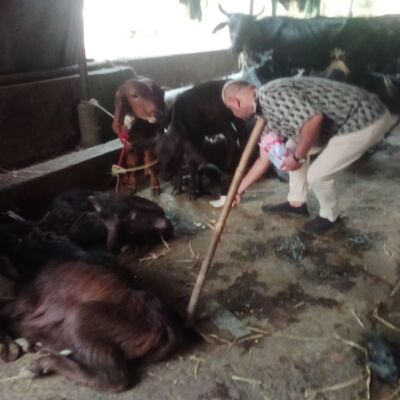 generous-solution-social-services